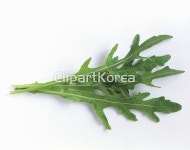pc003000364 | 멤버십 해외 포토