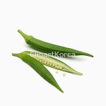 pc003396237 / JPG - 멤버십 해외작가포토