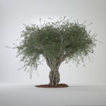 Big Ornamental Olive Tree 3D 모델 $49 - .obj .fbx .max - Free3D
