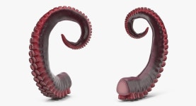 Tentacle of Octopus 3D 모델 $49 - .3ds .c4d .fbx .ma .obj .max .gltf .usdz - Free3D