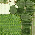 Hypericum - White 3D 모델 $39 - .obj .c4d .gltf .max .usdz - Free3D