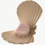 Pearl in Shell 무료 3D 모델 - .3dm - Free3D