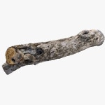 Broken Tree 3D 모델 $39 - .fbx .max .c4d .obj .gltf .usdz - Free3D