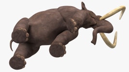Mammoth Walking Pose 3D 모델 $149 - .3ds .blend .c4d .fbx .max .ma .lxo .obj - Free3D