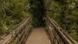 Panoramic Scene Bridge From Bamboo Forest In Road To Hana, Maui, Hawai 로열티 무료 사진, 그림, 이미지 그리고...