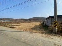 대창면-용전리-P084723096964 | 경매마당 공매정보 '2020-15829-001'의 시세, 권리분석, 상세정보