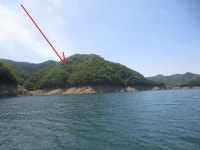 2022-0203-0479 | 경매마당 공매정보 '2023-04261-002'의 시세, 권리분석, 상세정보