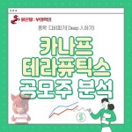카나웍스온 | ▶온코닉 비교기업 ▣▣ 카나프테라퓨틱스 공모주 분석 (3가지 성장 전망, 위험요소) ▣▣ | 온코닉테라퓨틱스(476060) | 종목토론 - 팍스넷...