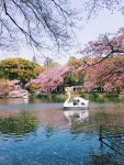 10 Reasons To Have Tokyo In Your 2020 Travel Plans - Klook Blog 10 Reasons To Have Tokyo In Your 2020 Travel Plans