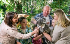 Currumbin Wildlife Sanctuary 또는 Tropical Fruit World로의 공유 교통편 - Klook