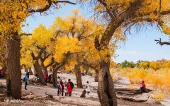 6-Day Inner Mongolia Ejin Tour (Yinchuan Start/End + Tengger... Sunset + Ejin Populus Euphratica Forest + Western Fantasy Grand...