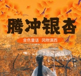 부오집부엉이오뎅집 | 은행나무, 누오뎅, 다리, 은행나무 마을 - Klook
