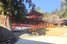 Nara City, Nara Park, Temples & Shrines Private One Day Guided Tour - Klook