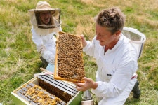 주식회사 비에이블(Bee Able Inc.) | Bee-A-Beekeeper 체험 - 클룩 Klook 한국