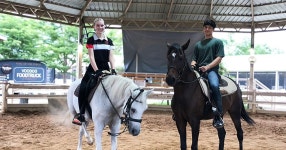 Horse Riding Class (for Beginner) in Bangkok + Café - Klook