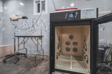 Ganghwado Another 153 Dog Pension in Incheon | 2025 Updated prices, deals - Klook International site