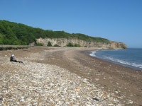 Hawthorn Hive Beach © peter robinson :: Geograph Britain and Ireland Hawthorn Hive Beach © peter robinson