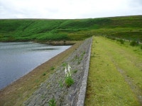 Foxgloves on the dam of Wessenden Head... © Humphrey Bolton :: Geograph Britain and Ireland Foxgloves on the dam of Wessenden...