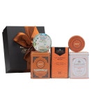 손스제주 | Harney & Sons + Hot Cinnamon Spice Tea Gift