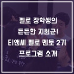 (주)멘토티엔씨 | 티앤씨 펠로 멘토 | 공모전 대외활동-링커리어