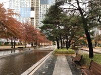 와프레쉬송도 | 송도 마니마니 와줘요 | 오르비 송도 마니마니 와줘요 - 오르비