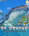 펼쳐진다구ㄷㄷ🙊영롱한 미디어아트, 전시, 각종 체험은 물론멜로망스, 폴킴, 소란, 루시, 너드커넥션 등 으리으리한 라인업의 대청호...