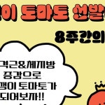 볼더팝 | 볼더팝의 볼파 #월드오브볼더팝 #헬더팝 #볼더파티 | Instagram Instagram의 볼더팝님 : "볼더팝의 볼파#월드오브볼더팝 #헬더팝...