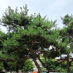 통합놀이학교다동 #놀이교육 | 2021 움직이는 맘껏놀이터 갈마동한마음어린이공원입니다 맘껏놀이터는 2021.6월~10월까지 매주 수요일 3시...