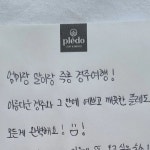 네이버에 스테이플레도로 해주세요 🔸️check in :... | Instagram Instagram의 pledo님 : ".stay pledo저희가 처음에 스테이를...