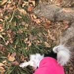 24시올렌드아울렛 | 검단산 아울렛입구 욜로홀로24시무인카페 놀러오세요🐾🐕🦺 . . . #욜로홀로 #욜로홀로무인카페 #커피맛집 #yolohollo #하남검단산카페...