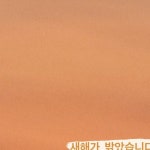 동탄맛집 / 동탄남광장맛집 / 남광장공영주차장 | 2024, 새해 복 가득 받으세요.🐷 #구운. #동탄구운 #구운동탄본점 #동탄고깃집 #동탄삼겹살...