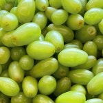 모어베지샐러드(More Vege Salad) | 모어베지샐러드 | 맛있는 한 끼, 건강은 덤 | _ 오늘부터 과일주스가 다시 시즌온!! 합니다🤗 추운겨울에도 청포도케일 주스를 많이...