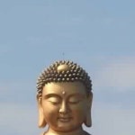 별내정상에듀주 | 롬브__남양주 별내 본점 | 긴급 donuts🍩 금일 정상운영하며 도넛과 베이글 그리고 커피 오픈하였습니다. 12:00-18:00 연휴의 화창한 마지막...