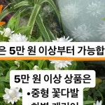 𝐽𝑖𝑤𝑜𝑜 𝐹𝑙𝑜𝑤𝑒𝑟 𝑆ℎ𝑜𝑝 💕 수원꽃집, 조원동꽃집, 어버이날꽃집 | 인기 1위 화병캐리어💓🫧 예약건들 차근차근...