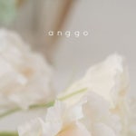 에이치에스홀세일(HS wholesale) | anggo wholesale 아동복도매 | 2024 여름 세일 시작합니다. 카카오스토리 확인해주세요. 😊 #anggo | Instagram Instagram의 anggo...