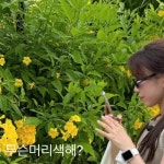 아리(Ari) 헤어마트 | 부전동미용실 I 리바이원 원장 아리 🫧... 원장 아리 🫧님 : "#후기사진 ღ 베이지에 애쉬... 부전동미용실 #범전동미용실 #시민공원 #아리디자인"
