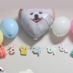 나무타는고양이와구경하는강아지뱅갈놀이터 | 달과별애견카페 시흥애견카페 시흥애견놀이터 은계지구카페 강아지놀이방 | 이상항햇살이 구경중ㅋㅋ | Instagram Instagram의 달과별애견카페...