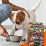 PetFlow - Pet Food Delivery(@petflow) | Instagram 프로필 PetFlow - Pet Food Delivery(@petflow) • Instagram 사진 및 동영상