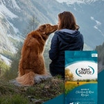 PetFlow - Pet Food Delivery(@petflow) | Instagram 프로필 PetFlow - Pet Food Delivery(@petflow) • Instagram 사진 및 동영상