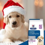 PetFlow - Pet Food Delivery(@petflow) | Instagram 프로필 PetFlow - Pet Food Delivery(@petflow) • Instagram 사진 및 동영상