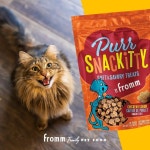 PetFlow - Pet Food Delivery(@petflow) | Instagram 프로필 PetFlow - Pet Food Delivery(@petflow) • Instagram 사진 및 동영상