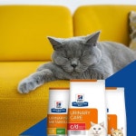 PetFlow - Pet Food Delivery(@petflow) | Instagram 프로필 PetFlow - Pet Food Delivery(@petflow) • Instagram 사진 및 동영상