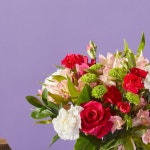 proflowers | Feel the anticipation in the air?🎄 Five days till Christmas! Get ready with our vibrant, holiday-inspired...
