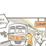 조집사 | 삼냥이는 어디 간걸까요?👀 | Instagram Instagram의 조집사님 : "삼냥이는 어디 간걸까요?👀"