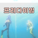 좌대낚시#정치망#해녀체험#프리다이빙#욕지도#욕지도여행#통영#바다여행#바다낚시#고등어#욕지고구마#유동해수욕장#새에덴동산#삼여전망대"