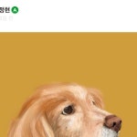 @1.2.5.studio | 폭신폭신 말랑이🎀 클래스 101 강의로 아이패드로 반려동물을 그려보아요! @125_yum | Instagram Instagram의 @1.2.5....