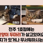 전주 방탈출 머더파커 본점 1,2호점 | 많은 고민이 있었던 머더파커의... 머더파커건대점 #건대방탈출 #전주방탈출 #대구방탈출 #양산방탈출...
