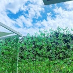 그린그라스 | 오늘도 푸르고 평화로운🌿 그린그라스 풍경🍀 | Instagram Instagram의 그린그라스님 : "오늘도 푸르고 평화로운...