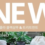 SGM 인셀덤 바름 | 인셀덤 SGM그룹 김옥경 | 블랙샴푸 대박입니다. 리만이 만들면 다릅니다. #새치샴푸#블랙샴푸#염색#탈모#01033180994#머리색 | Instagram...