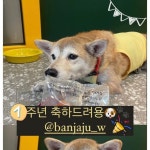반자주명지국제 | 반자주 w스퀘어점 | #첫줄#반자주w스퀘어점 벌써일년... | Instagram Instagram의 반자주 w스퀘어점님 : "#첫줄#반자주w스퀘어점 벌써일년...